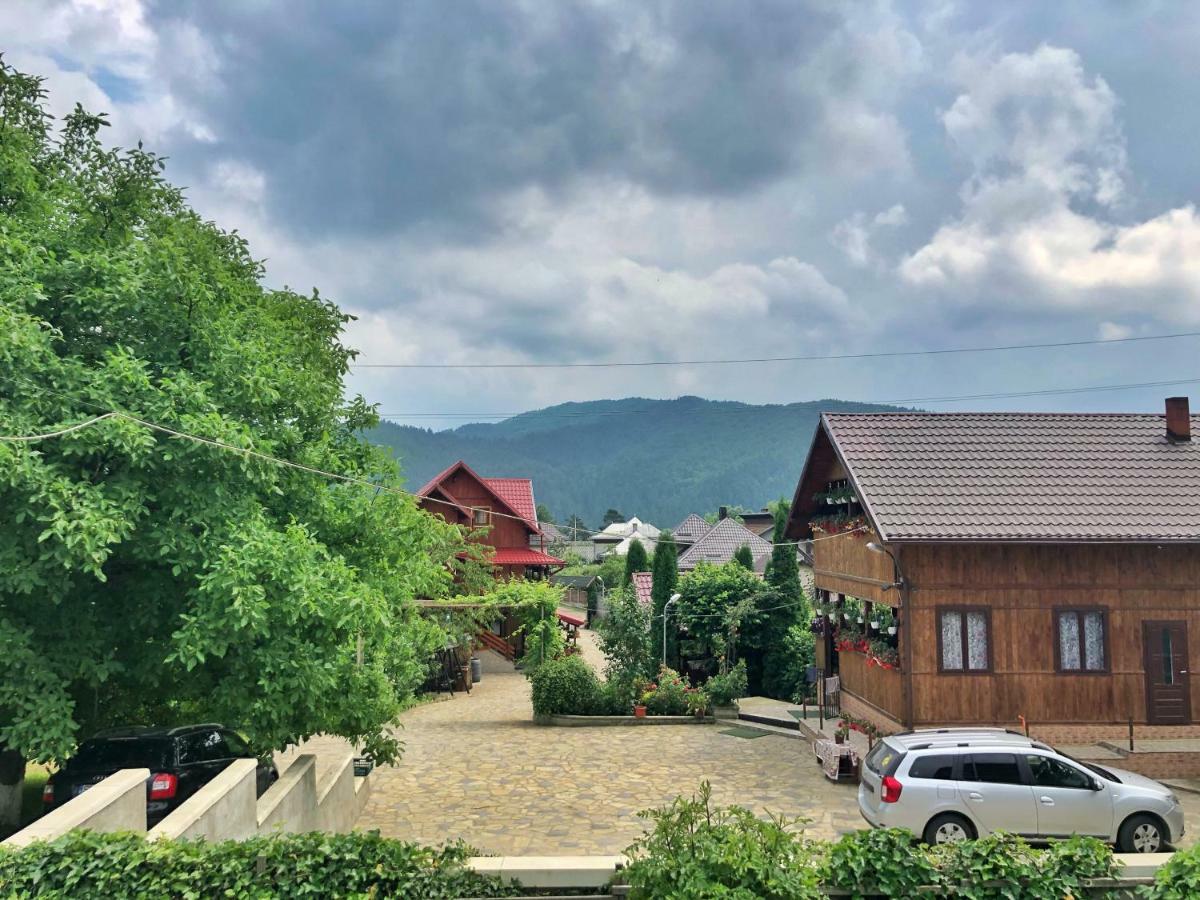 Casa Boico Hotel Gura Humorului Luaran gambar