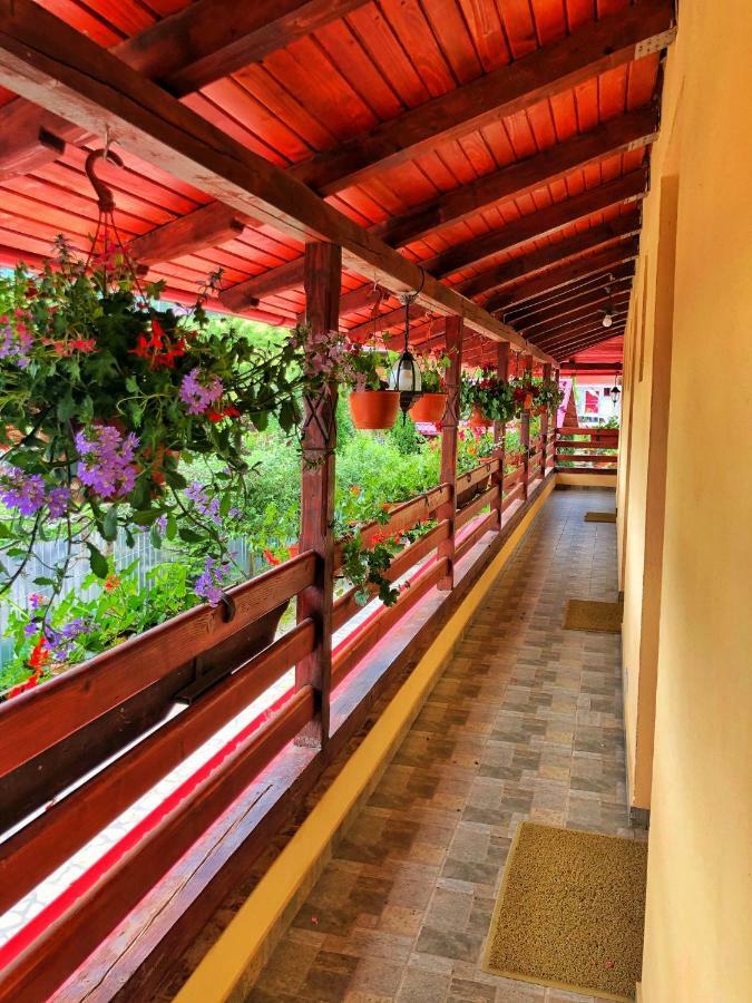 Casa Boico Hotel Gura Humorului Luaran gambar