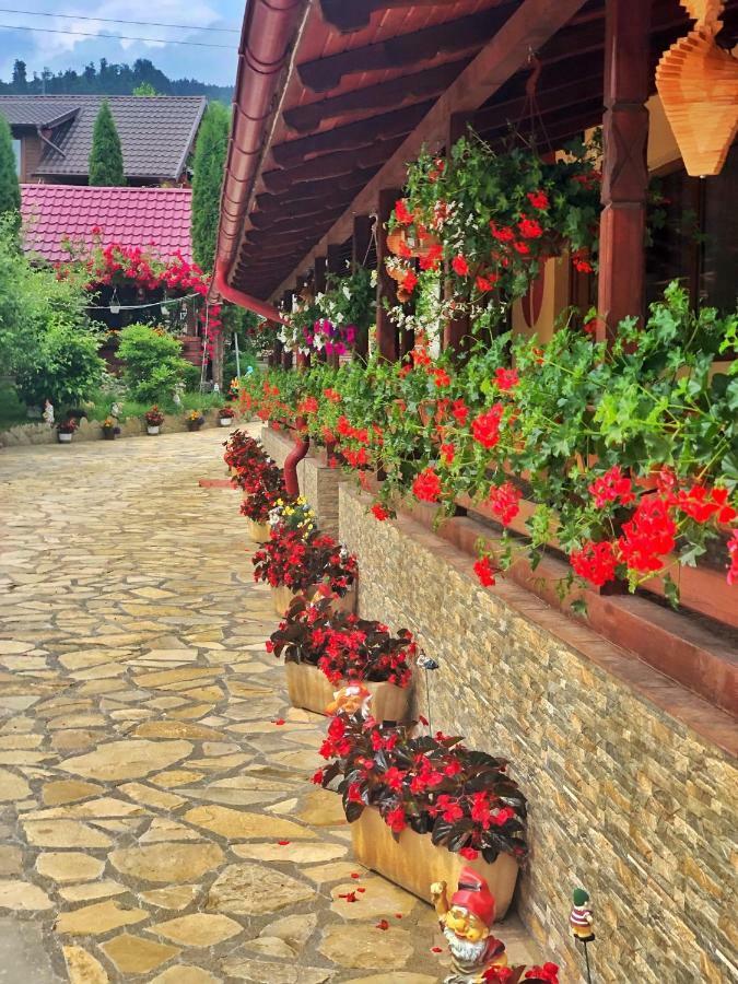 Casa Boico Hotel Gura Humorului Luaran gambar