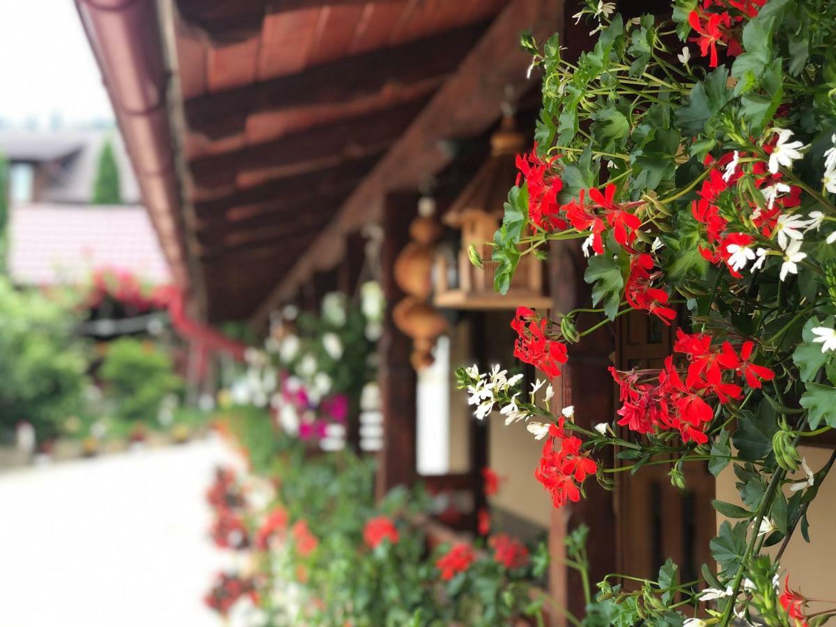 Casa Boico Hotel Gura Humorului Luaran gambar