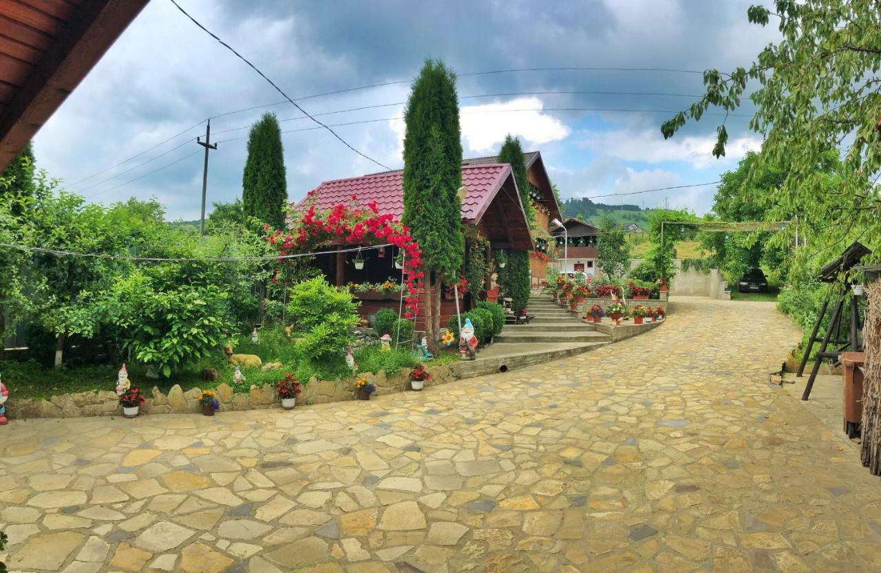 Casa Boico Hotel Gura Humorului Luaran gambar